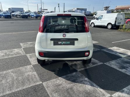 FIAT Panda 1.2 8v 69ch S&S Easy  Euro6D à vendre à Châteauroux - Image n°6