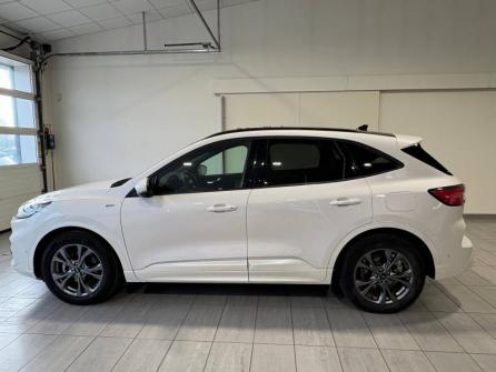 FORD Kuga 2.5 Duratec 190ch FHEV E85 ST-Line X BVA à vendre à Chaumont - Image n°8