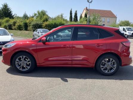 FORD Kuga 2.5 Duratec 190ch FHEV ST-Line X BVA à vendre à Orléans - Image n°8